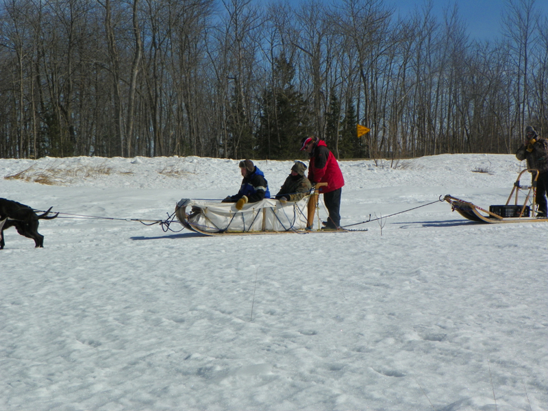 spirit of the north dog sledding