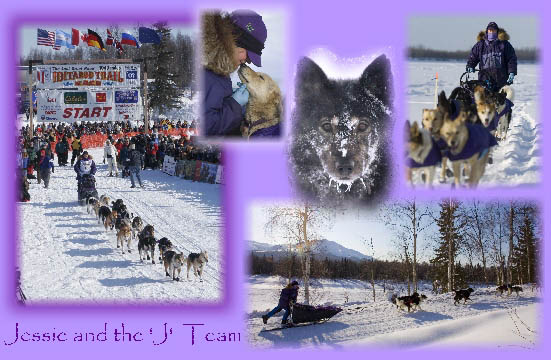Support Jessie in the 2008 Iditarod